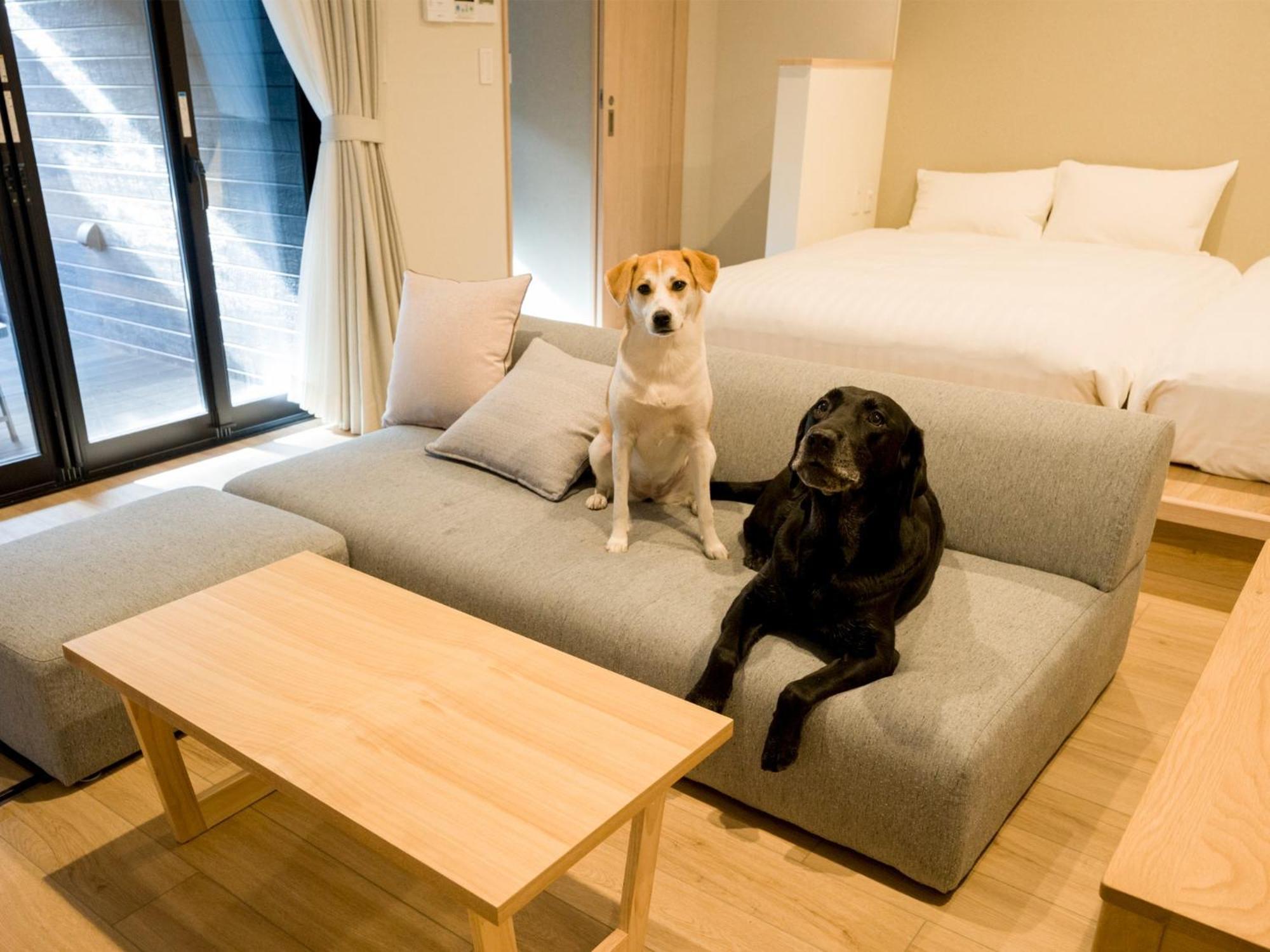 Rakuten Stay Nikko Hoden Capacity Of 4 Persons Екстериор снимка
